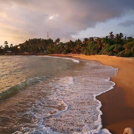 Turtle Bay Beach Resort Mirissa Exterior foto